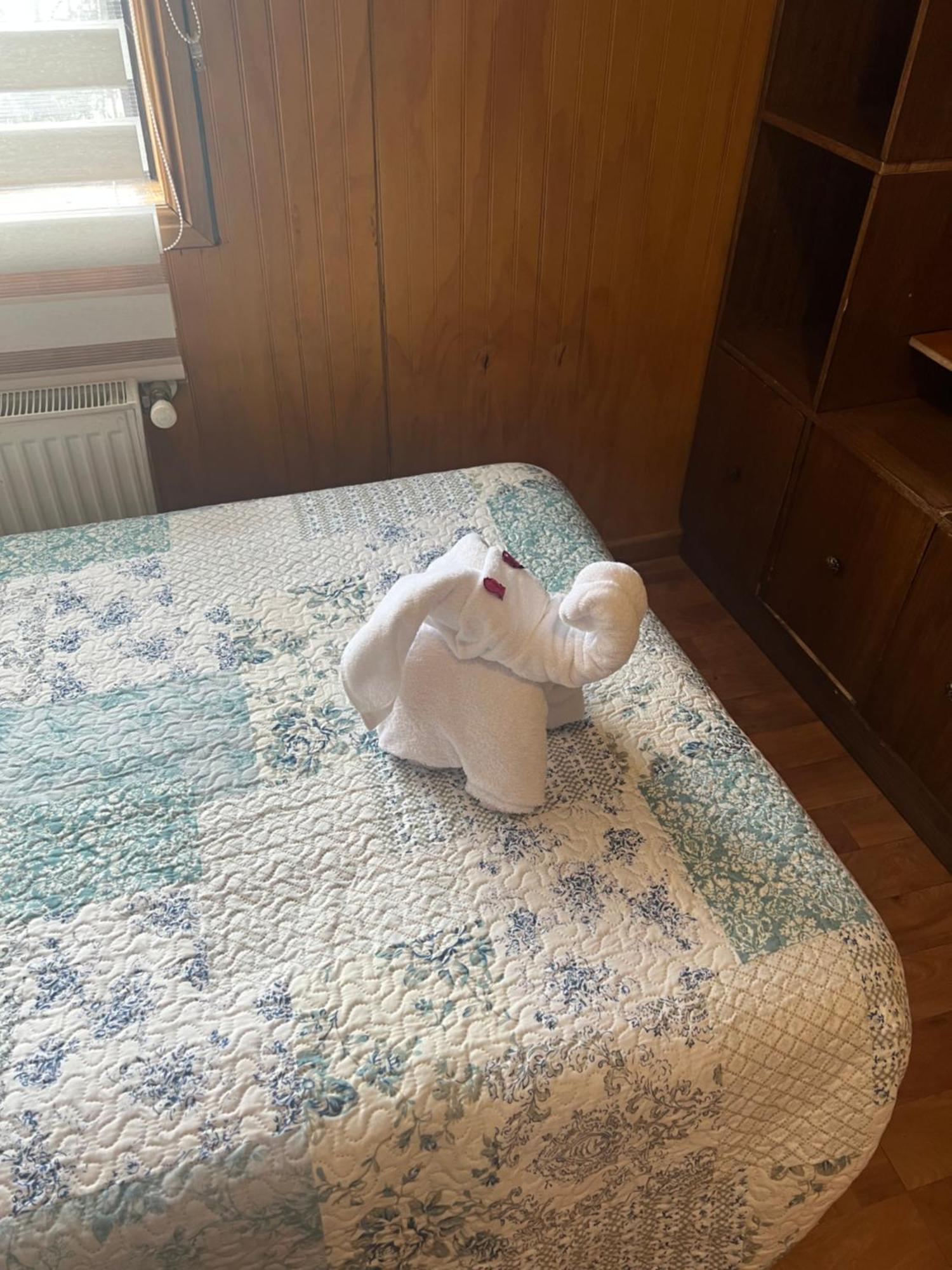 Hostal Victoria 蓬塔阿雷纳斯 外观 照片